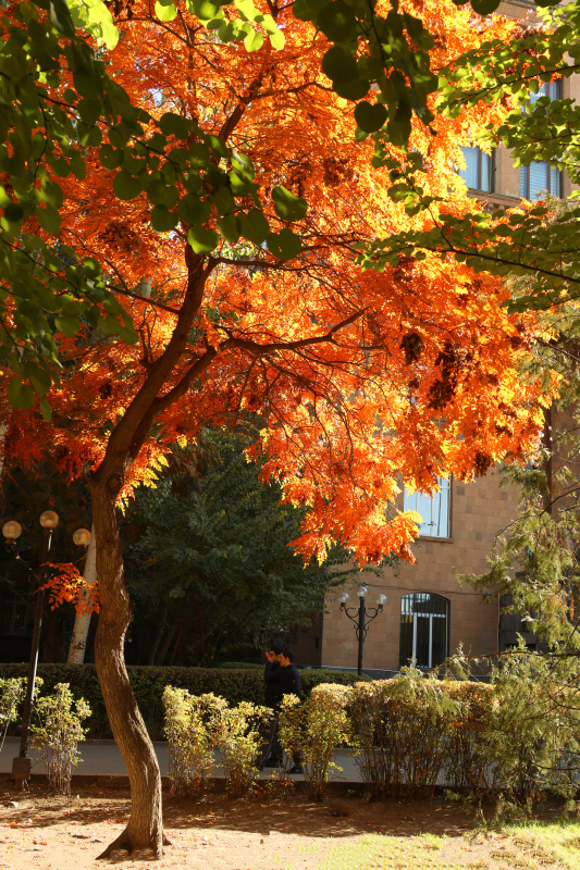 Երբ աշունն իր պայծառ գույներն է սփռում շուրջբոլորը, համալսարանը գունավառվում է նոր երանգներով՝ դառնալով «ԵՊՀ օբյեկտիվի» ստեղծած լուսանկարների առանցքային օբյեկտը