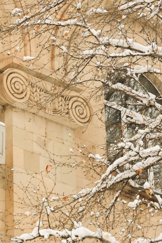 ԵՊՀ-ն ձյունե շղարշի տակ