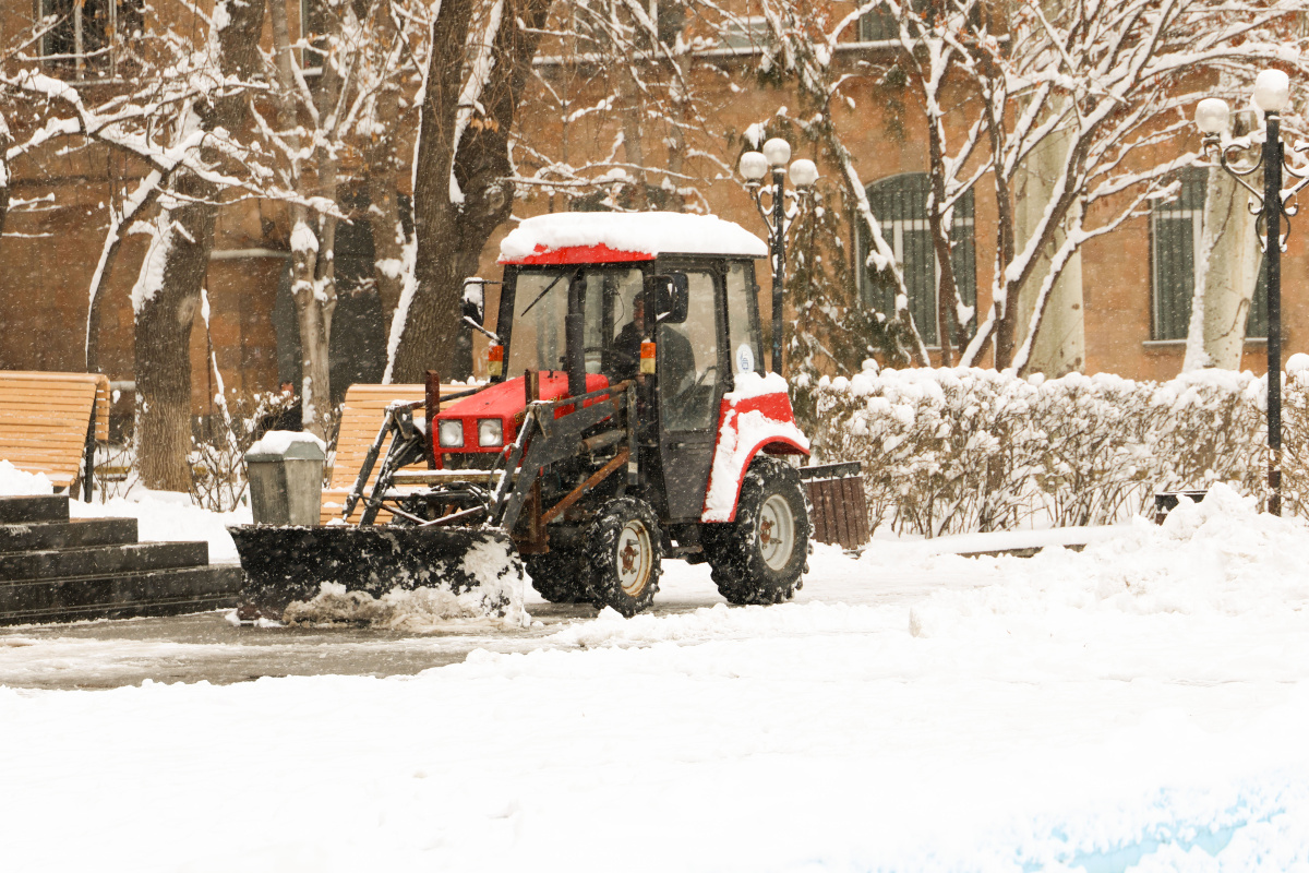 ԵՊՀ-ն ձյունե շղարշի տակ