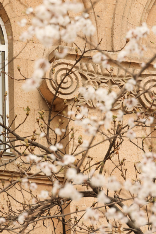 Գարունը ԵՊՀ-ում