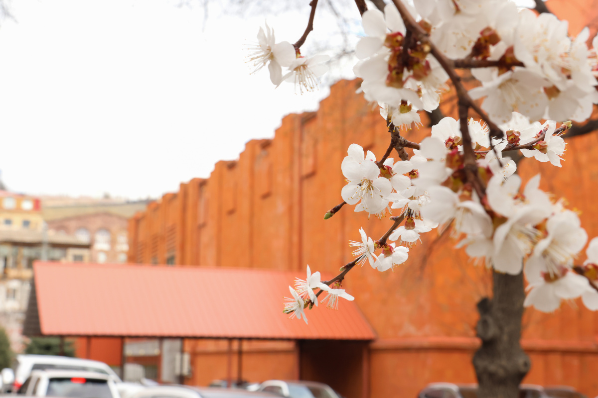 Գարունը ԵՊՀ-ում