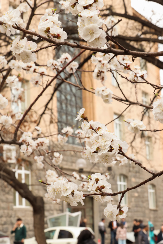 Գարունը ԵՊՀ-ում