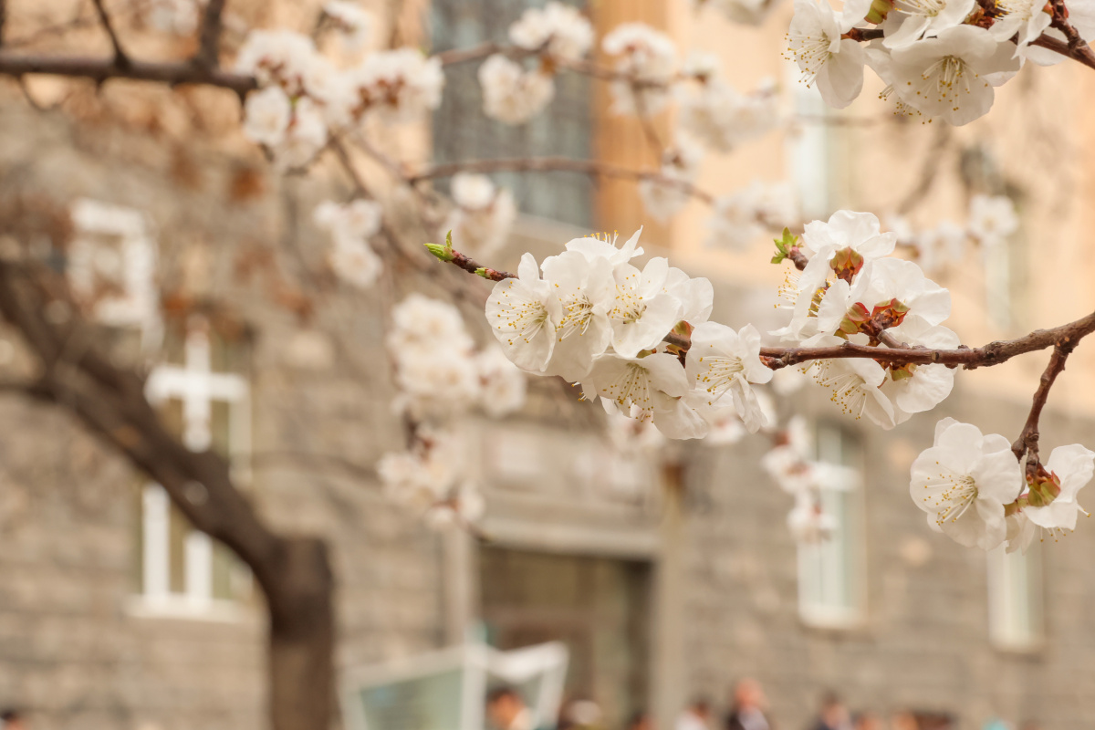 Գարունը ԵՊՀ-ում