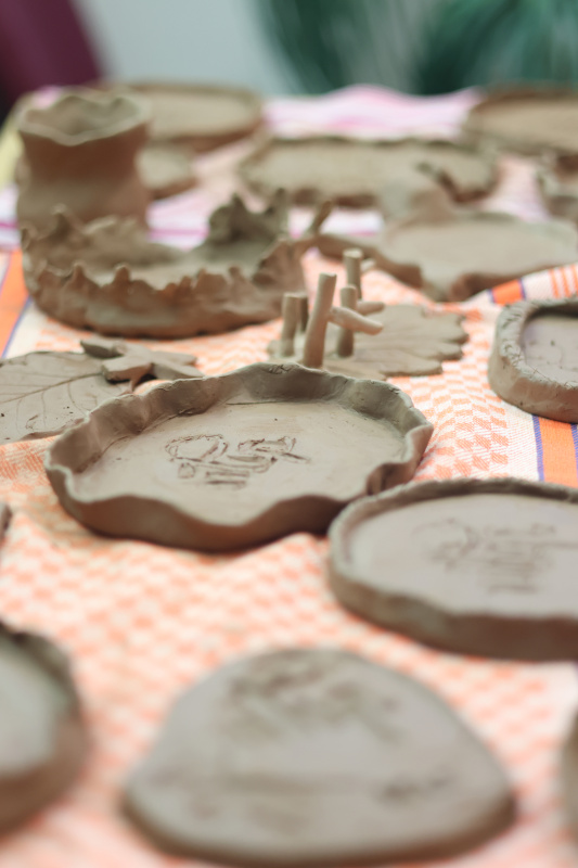 ԵՊՀ շարունակական կրթության կենտրոնի և «Հայաստան» համահայկական հիմնադրամի համատեղ նախաձեռնությամբ անցկացվեց «Բնագիտությունը զվարճալի՜ է. տե՛ս, շոշափի՛ր, փորձի՛ր» ամառային բնագիտական ճամբարը