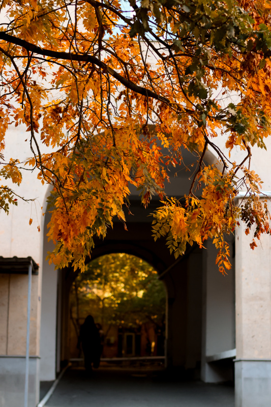 Աշունը ԵՊՀ-ում