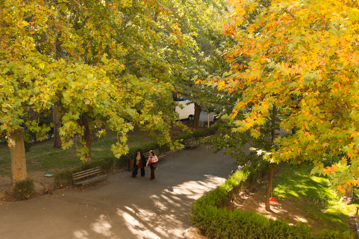 Աշնան գույները ԵՊՀ-ում