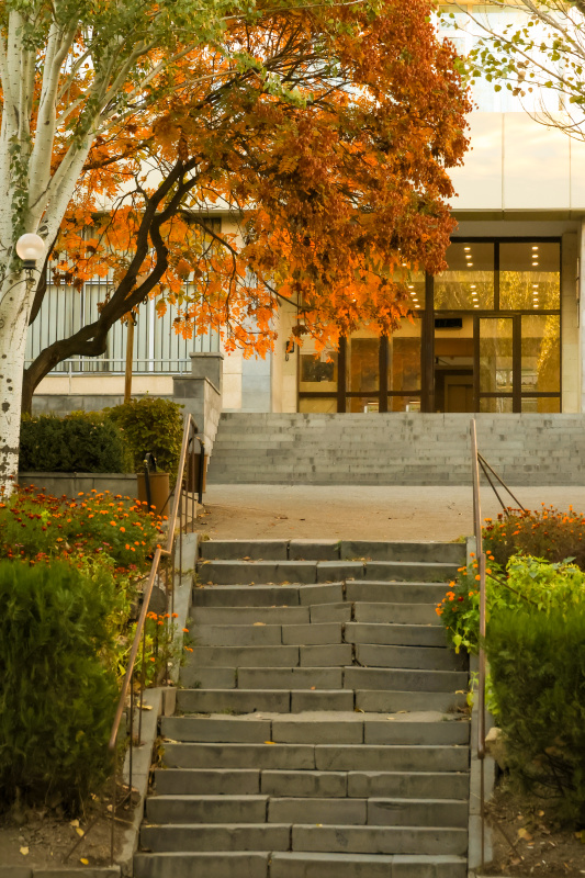 Աշունը ԵՊՀ-ում