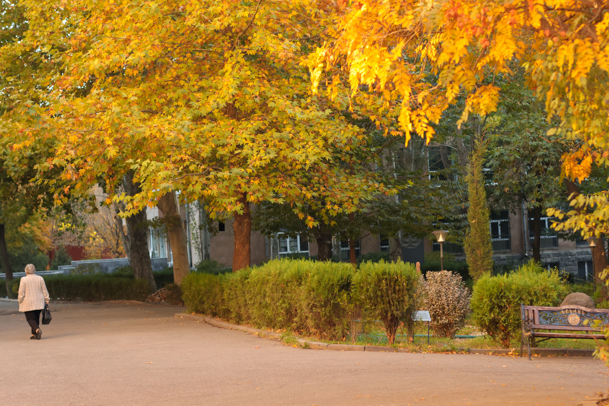 Աշնան գույները ԵՊՀ-ում