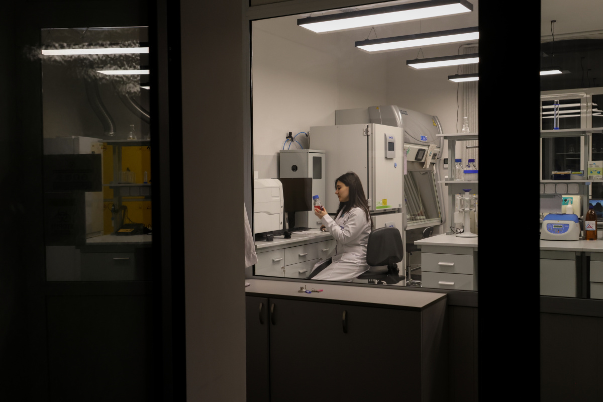 ԵՊՀ-ն՝ ոչ աշխատանքային ժամին. լույսերի ու մտքերի միջև