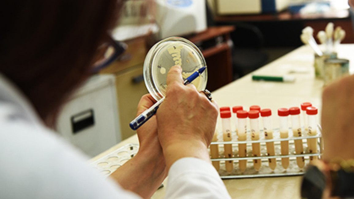 YSU-prepares-anti-cancer-drugs