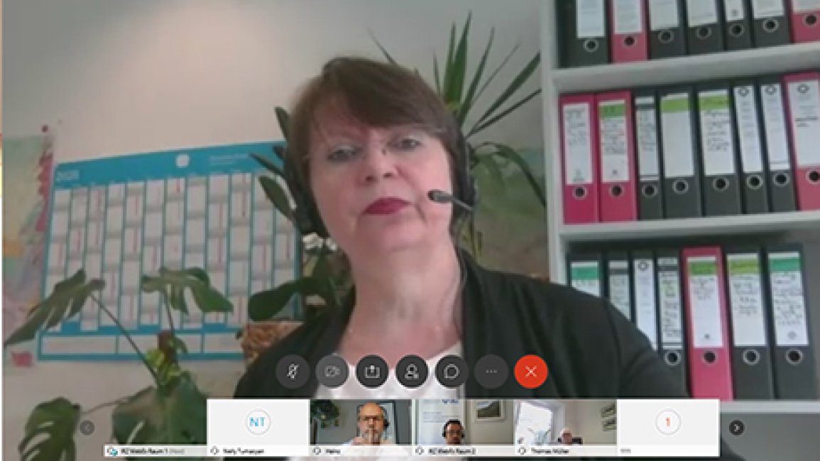 Online-seminar-with-German-specialists