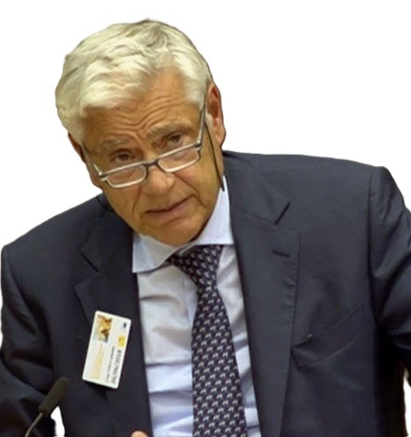 Luigi Fusco Girard