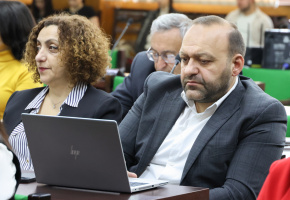 Ռոման Կարապետյան