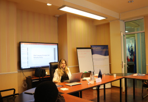 Nino Lapiashvili, Tbilisi State university, Expert