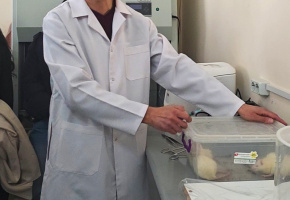 բաց դռների օրեր 02․2026