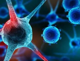 Anti-cancer-effect-of-herbs
