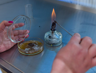 Scientific-topic-by-YSU-biologists