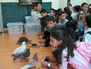 World-Animal-Day