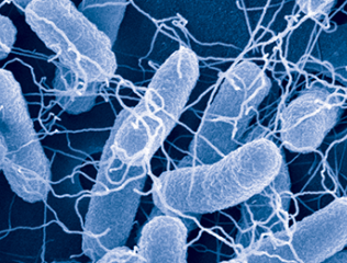 Making-Smart-Cells-Smarter