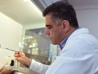 Scientific-topic-by-YSU-bacteriologists