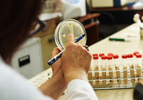 YSU-prepares-anti-cancer-drugs
