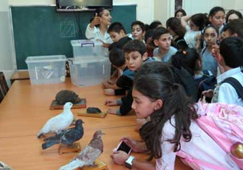 World-Animal-Day