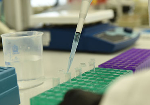 young-scientists-at-YSU