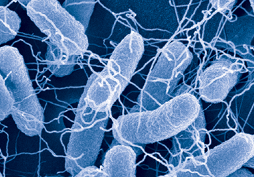 Making-Smart-Cells-Smarter