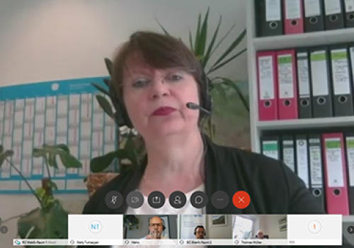 Online-seminar-with-German-specialists