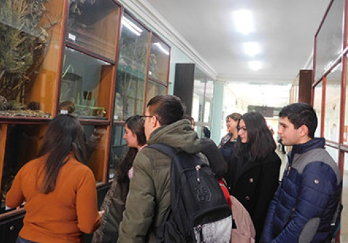 Schoolchildren-of-Heratsi-high-school