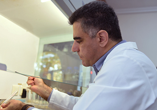 Scientific-topic-by-YSU-bacteriologists